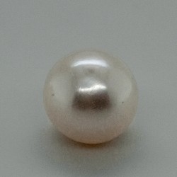 Pearl  (Moti) 6.16 Ct Best Quality
